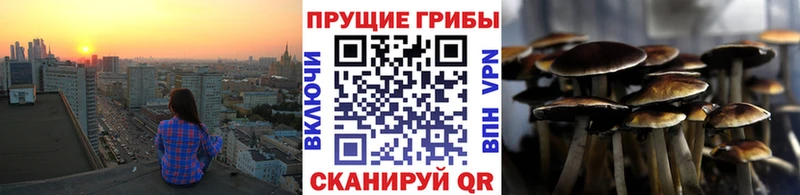 Купить где  Торопец  Галлюциногенные грибы ЛСД 